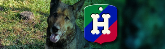 Logo de Héroes de 4 Patas