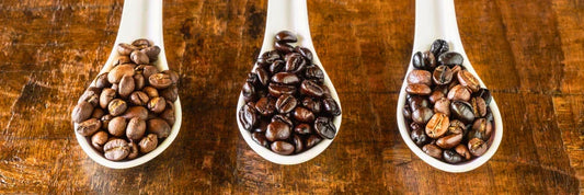 Granos de café natural, mezcla y torrefacto comparados visualmente en cucharas blancas sobre fondo de madera.